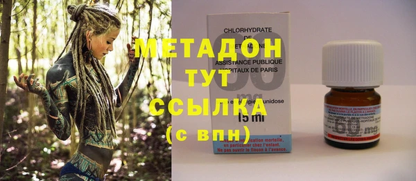 прущие грибы Куртамыш
